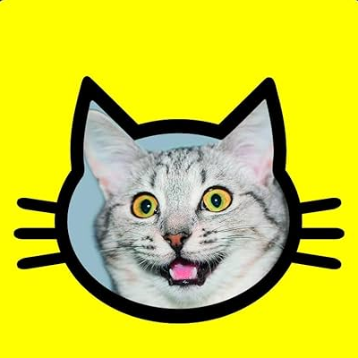 snapcat Emoji