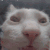 catlosingit Emoji