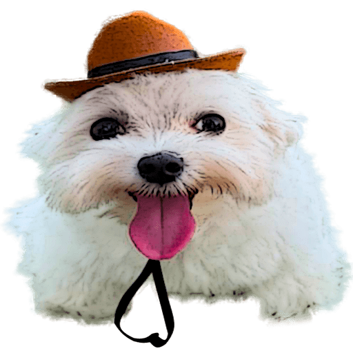 doggy_hat Emoji