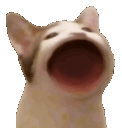 Yap Emoji