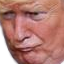 KekTrump Discord Emoji