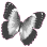 whitebutterfly Emoji