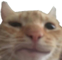 confused Emoji