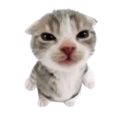 smol_cat_mad Emoji