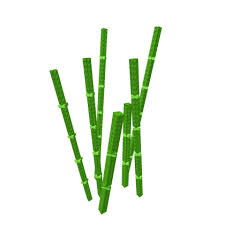 Bamboo Emoji