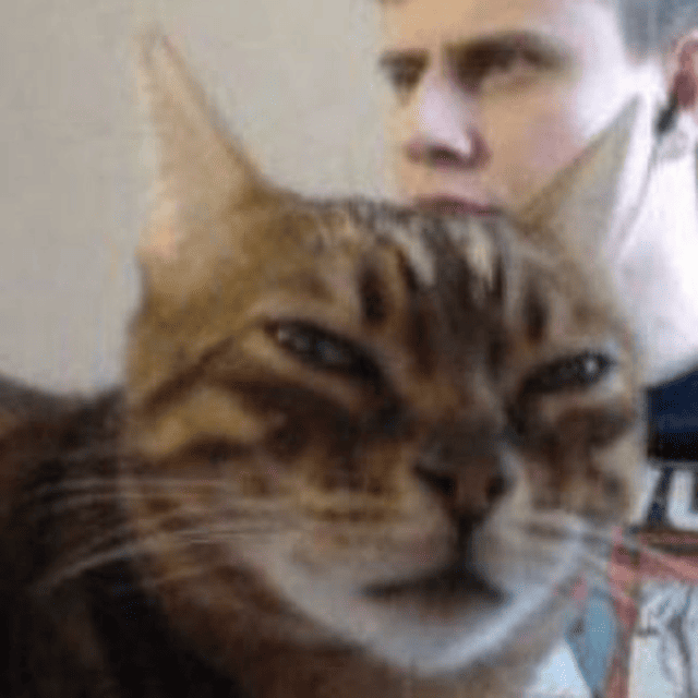 Cat Emoji