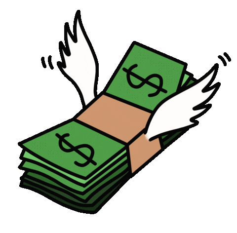 CashFly Emoji