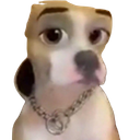 dogwithfilter Emoji