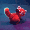 red_panda_butt Emoji