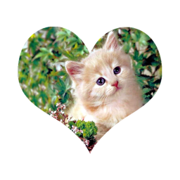 Catheart Emoji