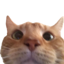 wyd Emoji