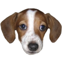 frankerz Emoji