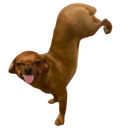 shakinit Emoji