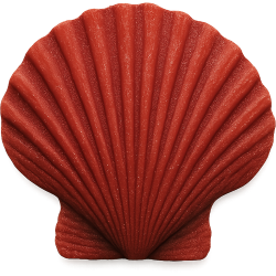 Redseashell Emoji