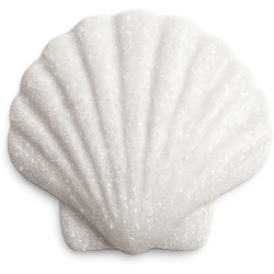 Whitesparklyseashell Emoji