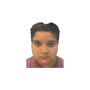 mrfentmenspinning Emoji