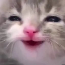 meow Emoji