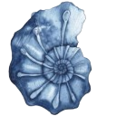 2_shell1 Emoji