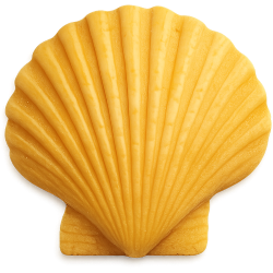 Yellowseashell Emoji