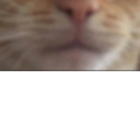 bottom Emoji