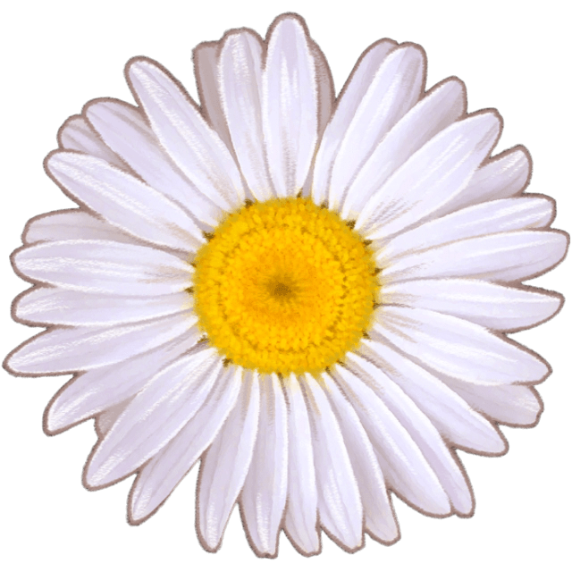 WhiteDaisy Emoji