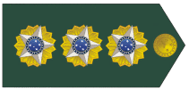 Coronel Emoji