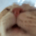 catlick Emoji
