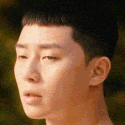 Park_Saeroyi_hair Emoji