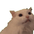 CatMeowing Emoji