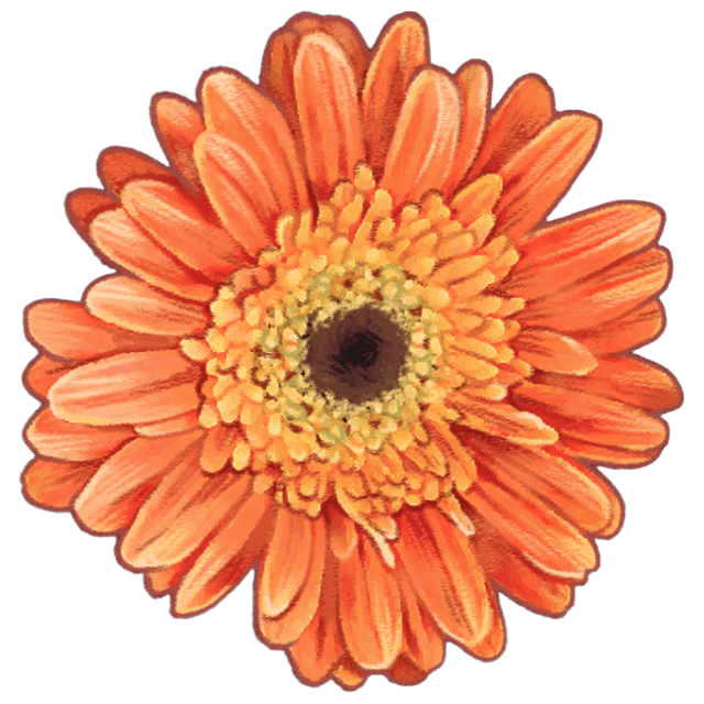OrangeDaisy Emoji