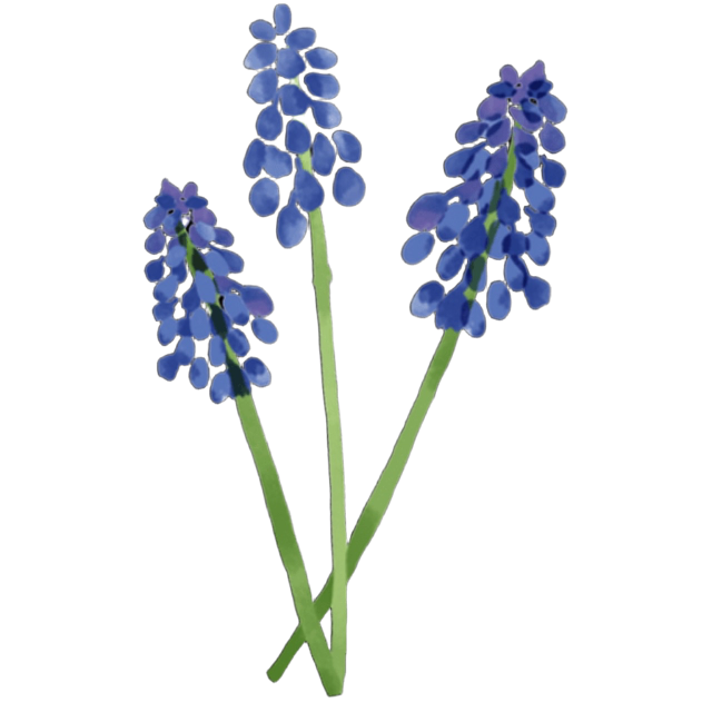 PFHyacinth Emoji