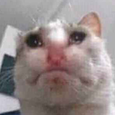 sadcat Emoji