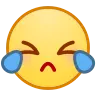 Tears Emoji