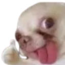 dog_like Emoji