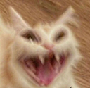 Scrary_Cat_Laugh Emoji