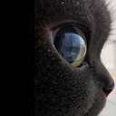 starecatto Emoji
