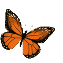 orangesparklybutterfly Emoji