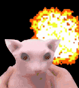 Bangus Emoji