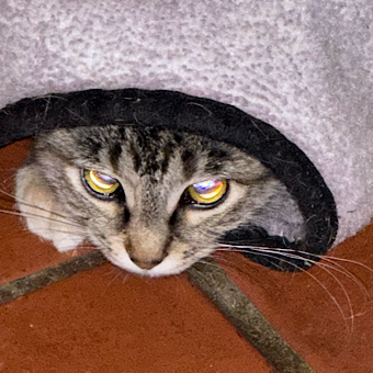 nickCharging707 Emoji