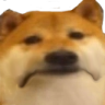 Saddoge Emoji