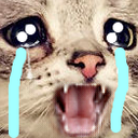 CatCry Emoji