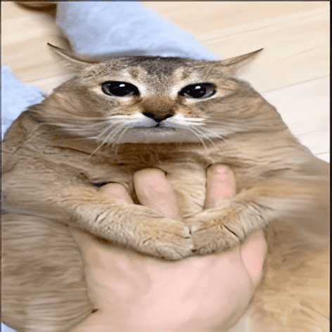 MeiMei Emoji