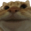 yesl Emoji