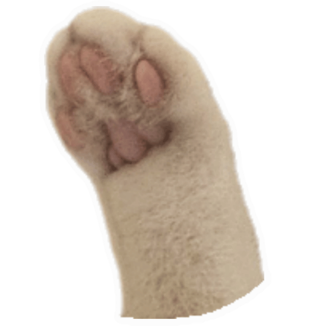 Moospaw Emoji