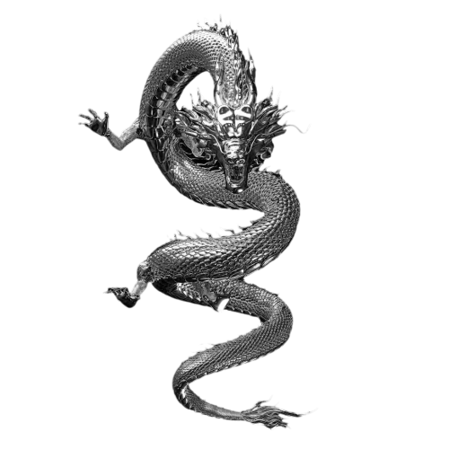 dragon Emoji