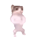 catfistbump Emoji