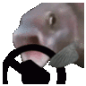 PogFishDrive Emoji