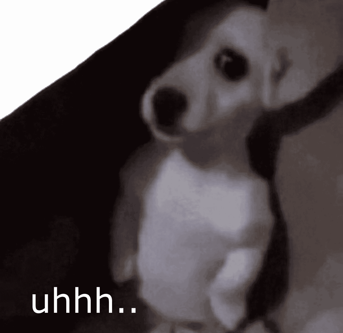 shy_dog Emoji