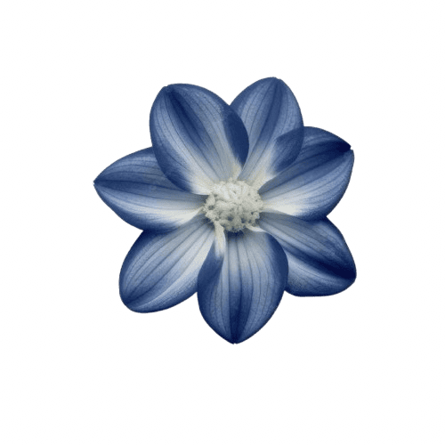 blue_flower Emoji