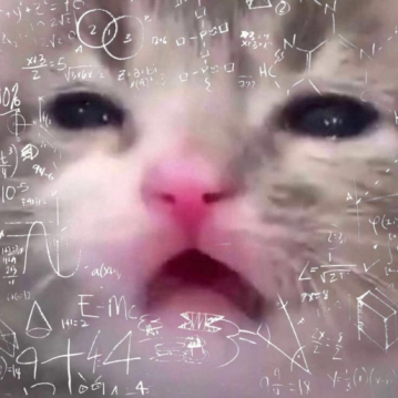 ConfusedCat Emoji